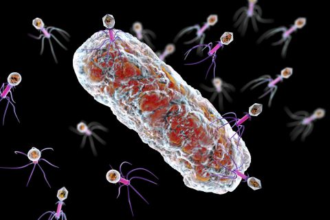 171018-bacteria-phage-attack-ac-526p[1]