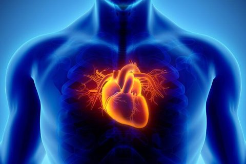 Drugs_for_CAD_A_Guide_to_Medications_for_Coronary_Artery_Disease-732x549-thumbnail-1-732x549[1]