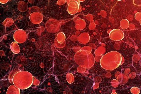 Hematology-Tucson22[1]