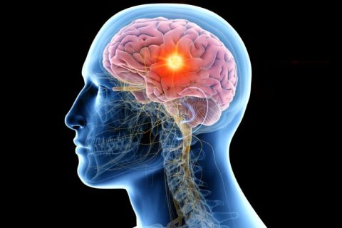 adobestock_250313661[1]